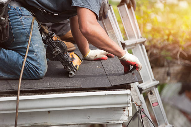 Best Metal Roofing Contractor  in Springfield, IL