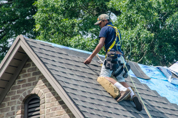 Best Residential Roofing Contractor  in Springfield, IL